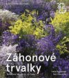 Záhonové trvalky