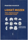 Lidský mozek