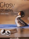 Głosy ptaków