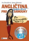 Angličtina pro pokročilé samouky