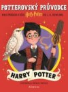 Potterovský průvodce: Harry Potter