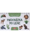 Procházka po lese