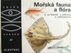 Mořská fauna a flóra