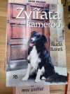 Zvířata před kamerou