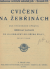 Cvičení na žebřinách