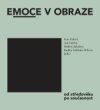 Emoce v obraze