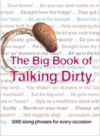 The Big Book of Talking Dirty