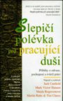 Slepičí polévka pro pracující duši