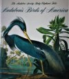 Audubon's Birds of America