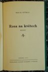 Rosa na květech