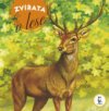 Zvířata v lese