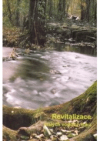 Revitalizace malých vodních toků - součást péče o krajinu