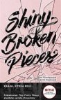 Shiny Broken Pieces 