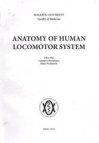 Anatomy of human locomotor system