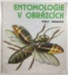 Entomologie v obrázcích