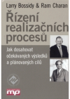 Řízení realizačních procesů