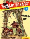 Cowboyův sen