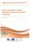 Řízená reprodukce candáta obecného a odchov jeho plůdku v rybnících