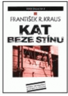 Kat beze stínu