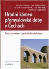 Hradní kámen přemyslovské doby v Čechách