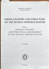 Gross anatomy and structure of the human nervous system.