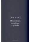 Metodologie, sociologie a politika