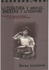 Literatura v Americe, Amerika v literatuře
