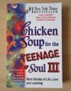 Chicken Soup for the Teenage Soul