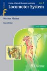 Color Atlas of Human Anatomy