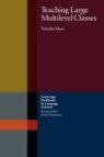 Teaching Large Multilevel Classes
