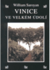 Vinice ve velkém údolí