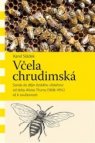 Včela chrudimská