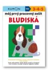 Môj prvý pracovný zošit Bludiská