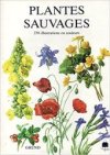 Plantes sauvages