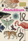 Animalium