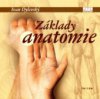 Základy anatomie