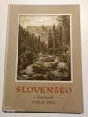Slovensko v drevorytoch Karla Vika