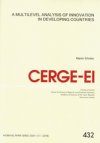 A multilevel analysis of innovation in developing countries