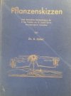 Pflanzenskizzen