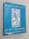 Masterpieces of Bird Photography