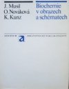 Biochemie v obrazech a schématech