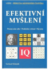 Efektivní myšlení