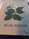 Atlas rostlin