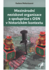 Mezinárodní neziskové organizace a spolupráce s OSN v historickém kontextu