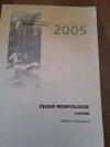 Česká morfologie 
