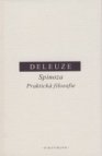 Spinoza. Praktická filosofie