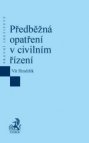 Předběžná opatření v civilním řízení