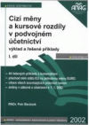 Cizí měny a kursové rozdíly v podvojném účetnictví