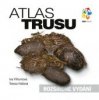 Atlas trusu