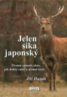 Jelen sika japonský